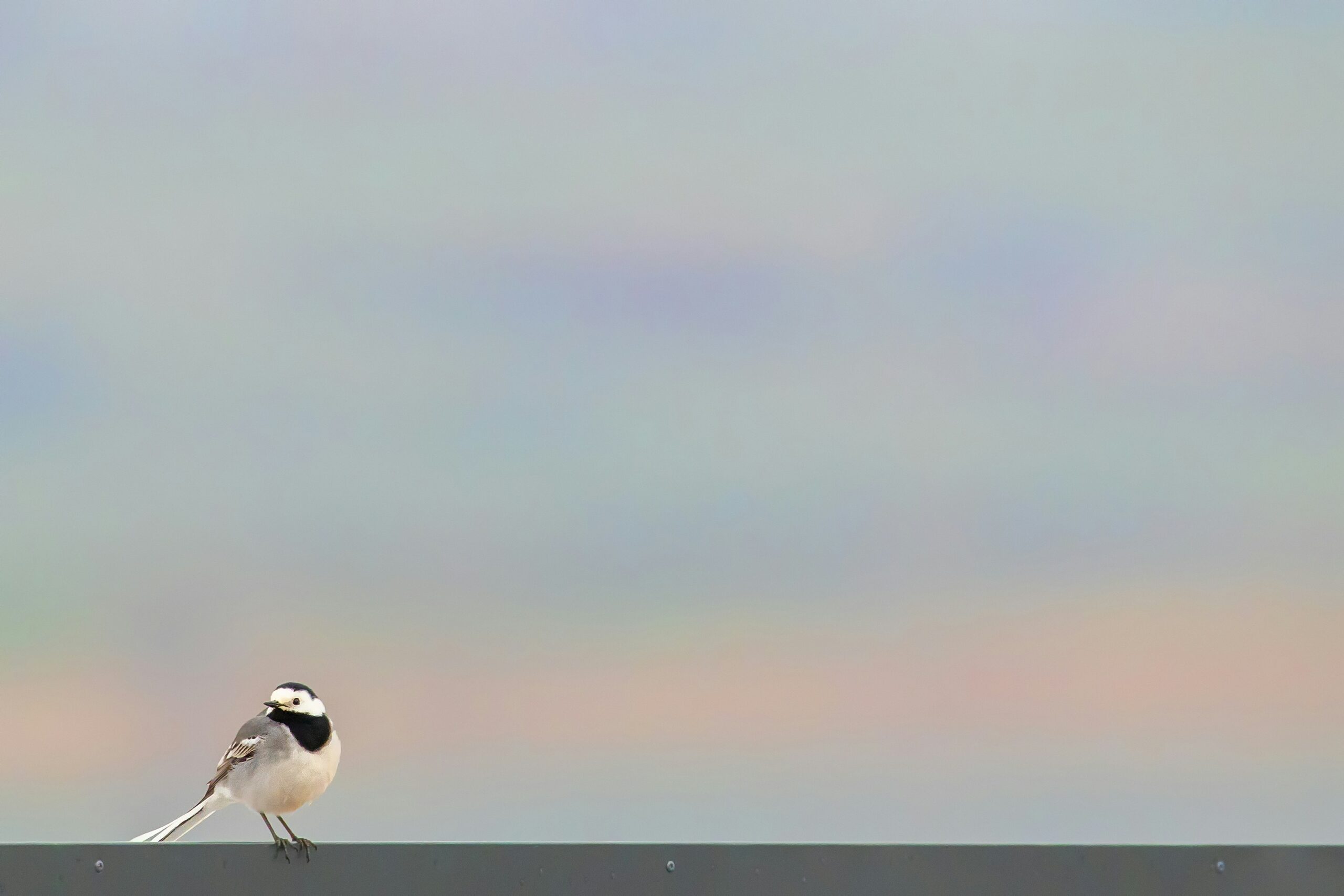 关于灵魂 | 阿卡图 | 2022-11-04