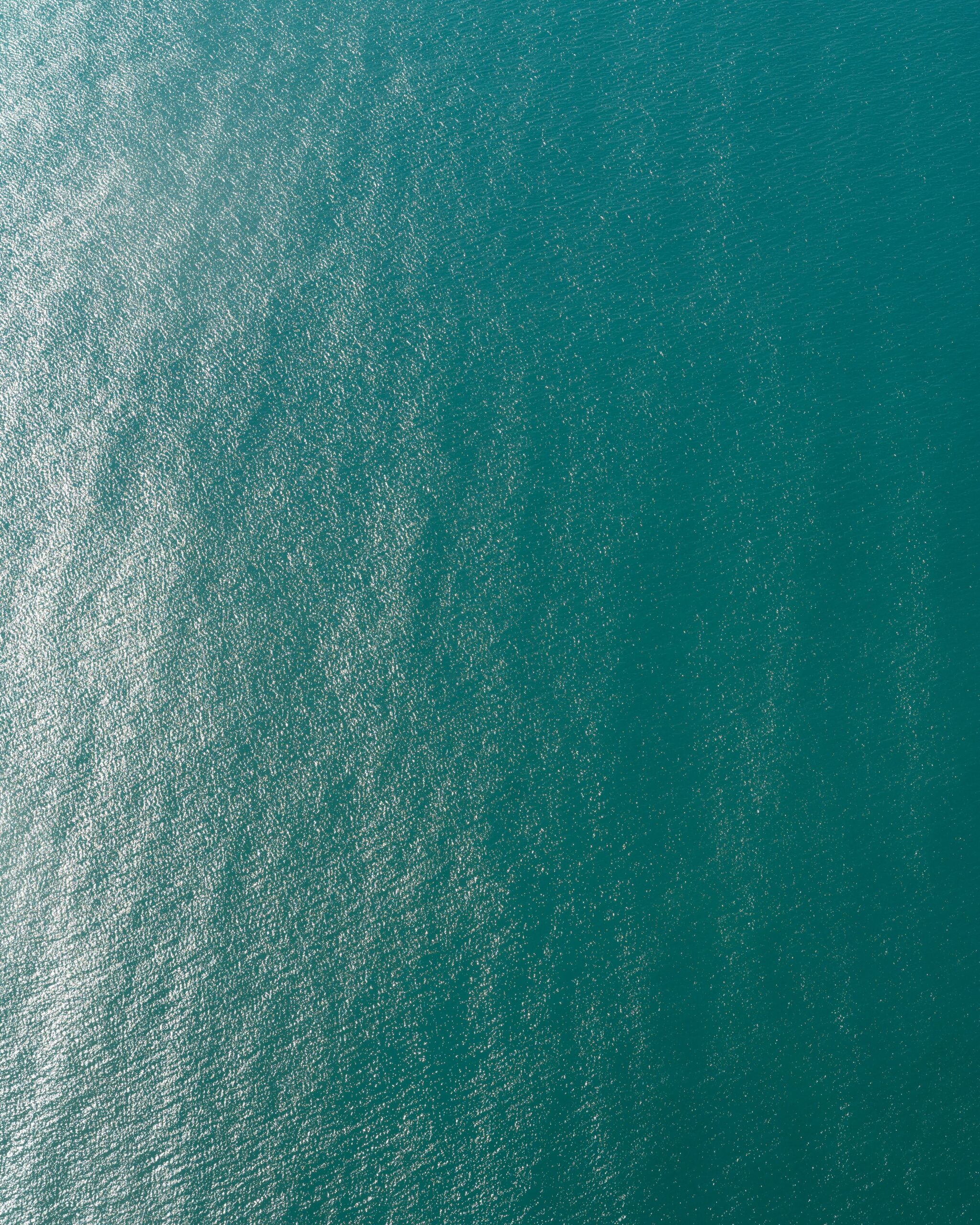 不会有成功的议程和重置! | 尼奥 | 2021-10-14